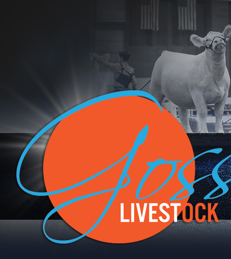 Goss Livestock Cattle