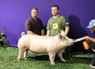 Goss Livestock Winners