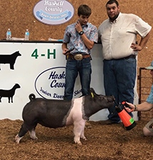 Goss Livestock Winners