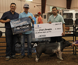 Goss Livestock Winners