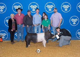 Goss Livestock Winners