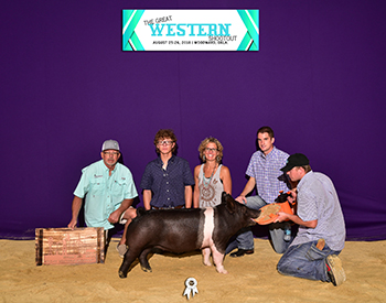 Goss Livestock Winners