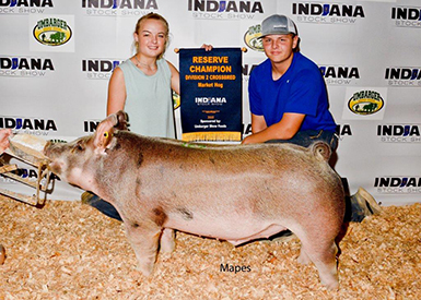 Goss Livestock Winners