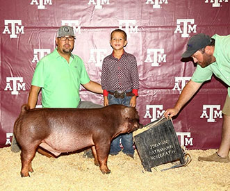 Goss Livestock Champions