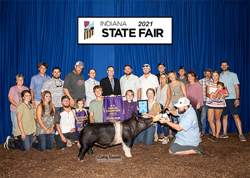 Goss Showpigs - Grand Indiana tate Fair