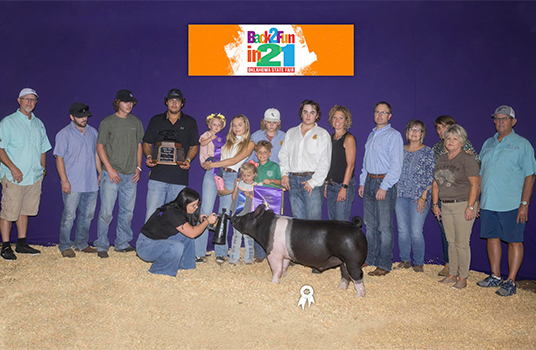 Goss Showpigs - Grand Indiana tate Fair