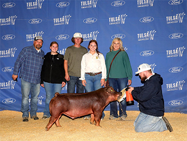 Goss Showpigs - Grand Indiana tate Fair