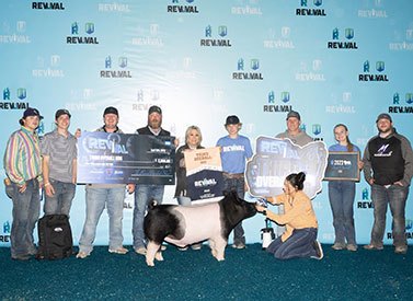 Goss Livestock Winners