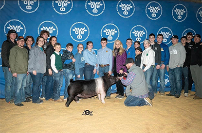 Goss Livestock Winners