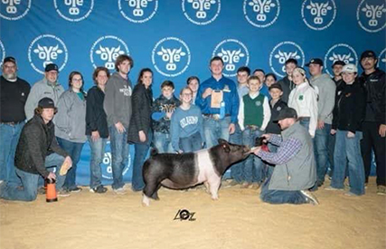 Goss Livestock Winners