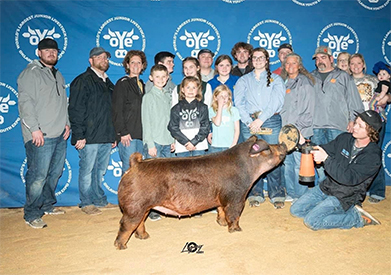 Goss Livestock Winners